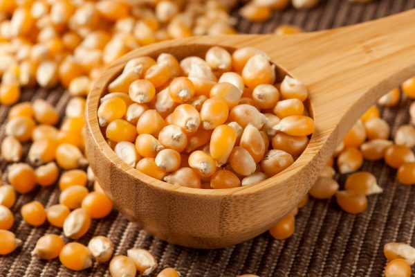popcorncomefrom
